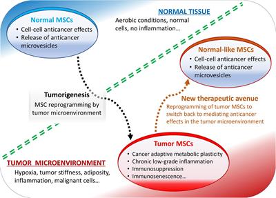 Tumor Microenvironment Uses a Reversible Reprogramming of Mesenchymal Stromal Cells to Mediate Pro-tumorigenic Effects